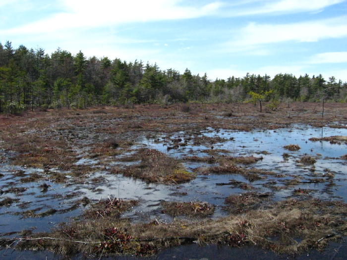 wet early spring