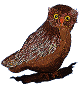 Owl01.gif